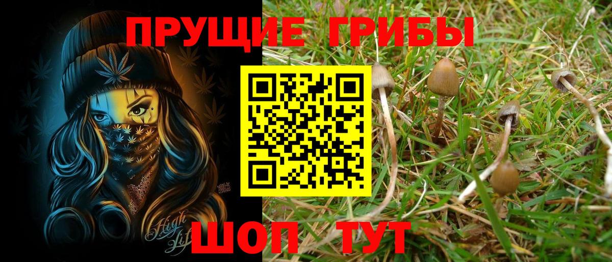 Псилоцибиновые грибы Cubensis  Псилоцибиновые грибы прущие грибы  наркота  Вход с VPN  Приморско-Ахтарск 