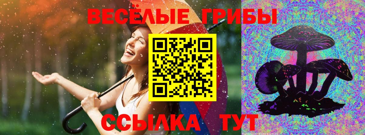 Галлюциногенные грибы Cubensis Приморско-Ахтарск